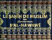 مجلد10/1 صحيح مسلم بشرح النووي LE SAHIH DE MUSLIMشاموا لونان