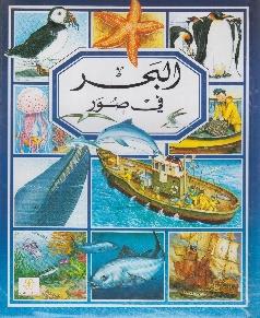 مجموعتي في صور البحر في صور