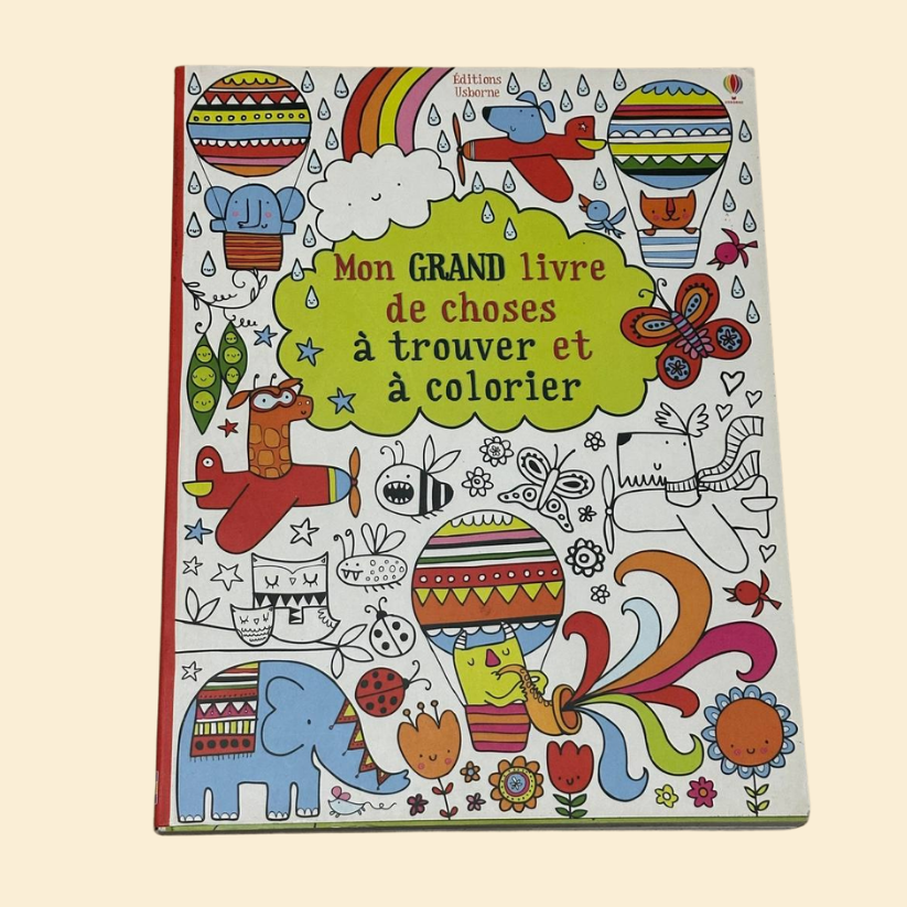 MON GREND LIVRE DE CHOOSES À trouver et à colorier