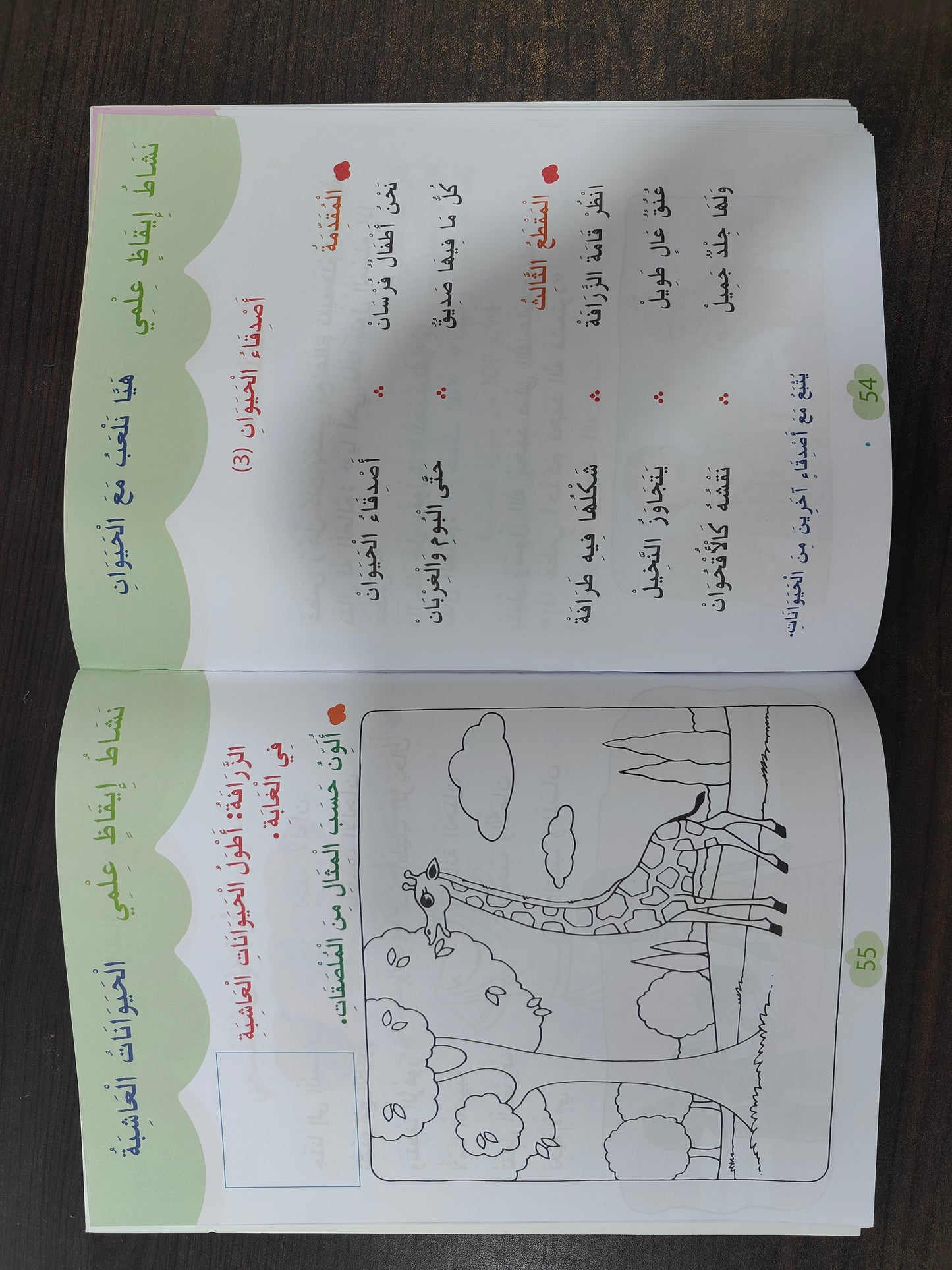 مجموعة لتحضير متوازن لأهم مرحلة (3 كتب رئيسية متكاملة) + هدية مجانية!