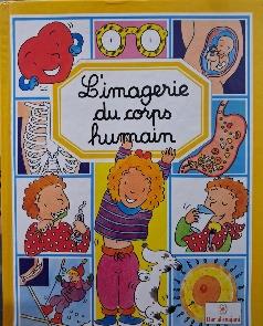l'imagerie du corps humain