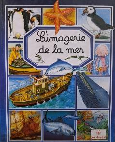 l'imagerie de la mer