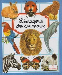 l'imagerie des animaux