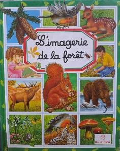 l'imagerie de la foret
