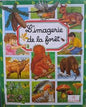 l'imagerie de la foret