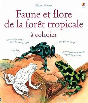 Faune et flore de la foret tropicale à colorier