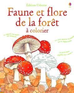 Faune et flore de la foret à colorier