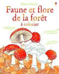 Faune et flore de la foret à colorier