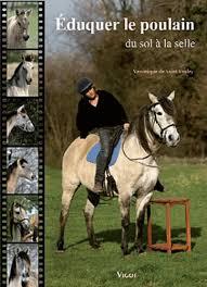 EDUQUER LE POULAIN DU SOL A LA SELLE