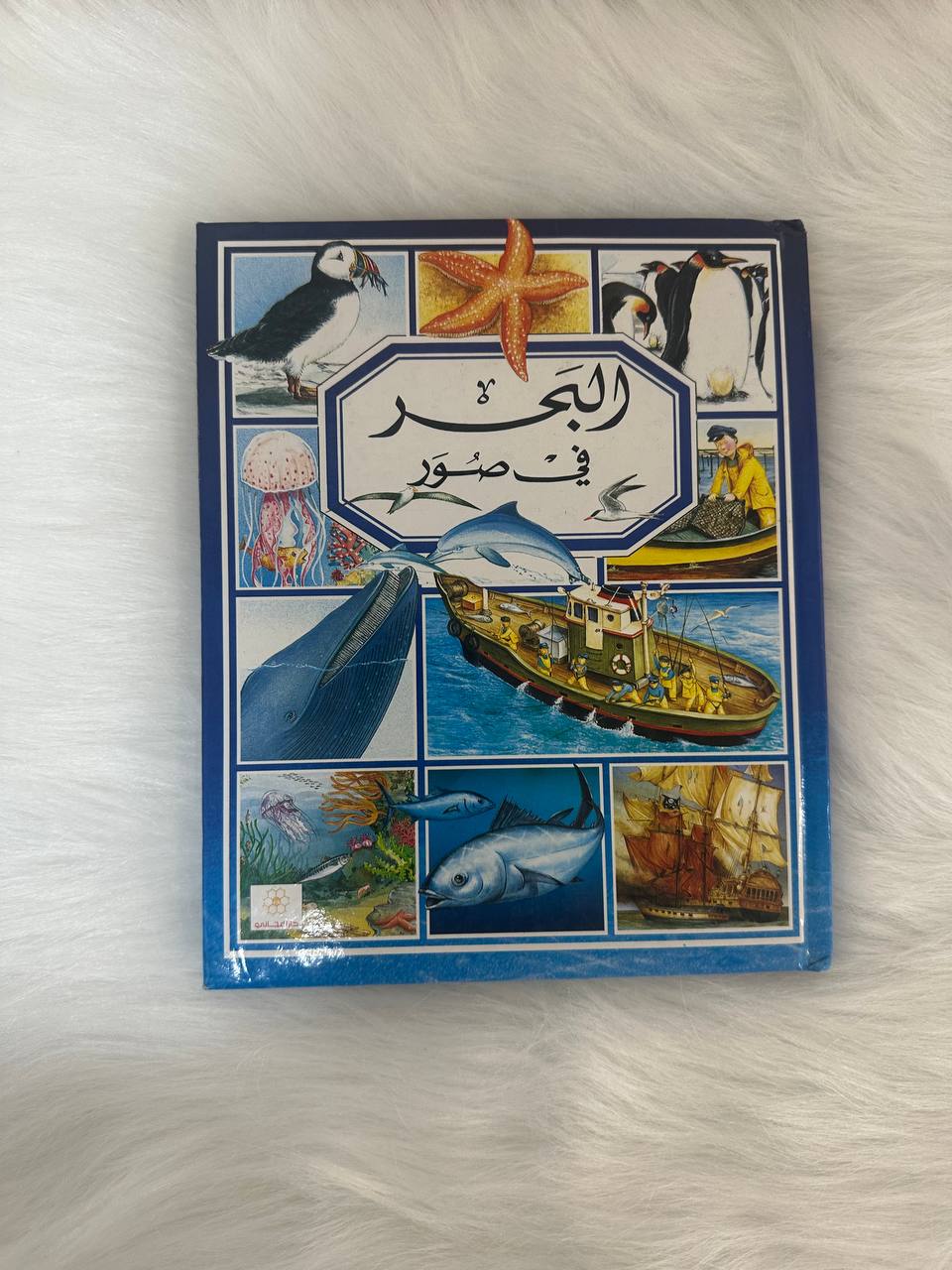 باقة مجموعتي المصورة