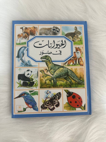 باقة مجموعتي المصورة