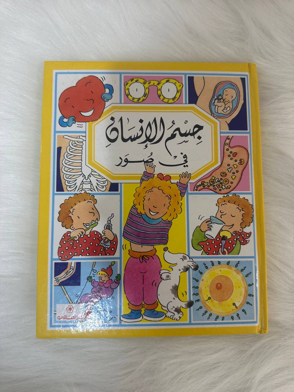 باقة مجموعتي المصورة