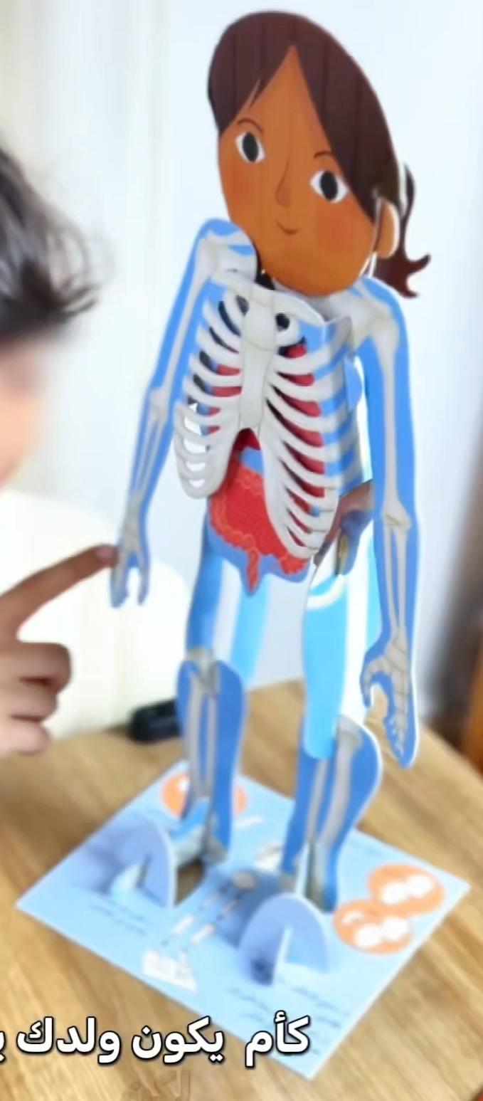كتاب 'أنموذج جسم الانسان ' مع مجسم (3D) + Cadeau Surprise